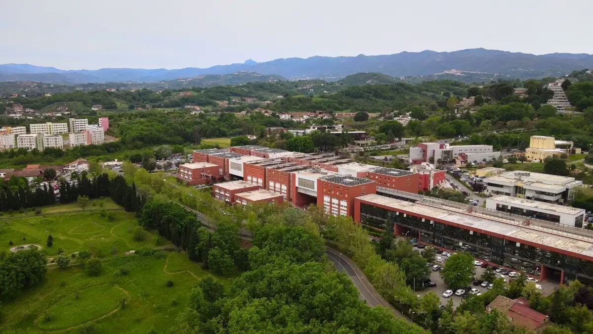 images L'Unical entra nella World University Rankings  e si conferma ateneo d'eccellenza