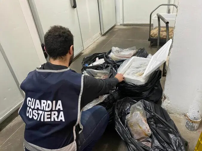 Vasta operazione della Guardia Costiera in Calabria: sequestrate tonnellate di prodotti ittici images Vasta operazione della Guardia Costiera in Calabria: sequestrate tonnellate di prodotti ittici
