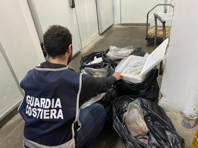 Vasta operazione della Guardia Costiera in Calabria: sequestrate tonnellate di prodotti ittici images Vasta operazione della Guardia Costiera in Calabria: sequestrate tonnellate di prodotti ittici