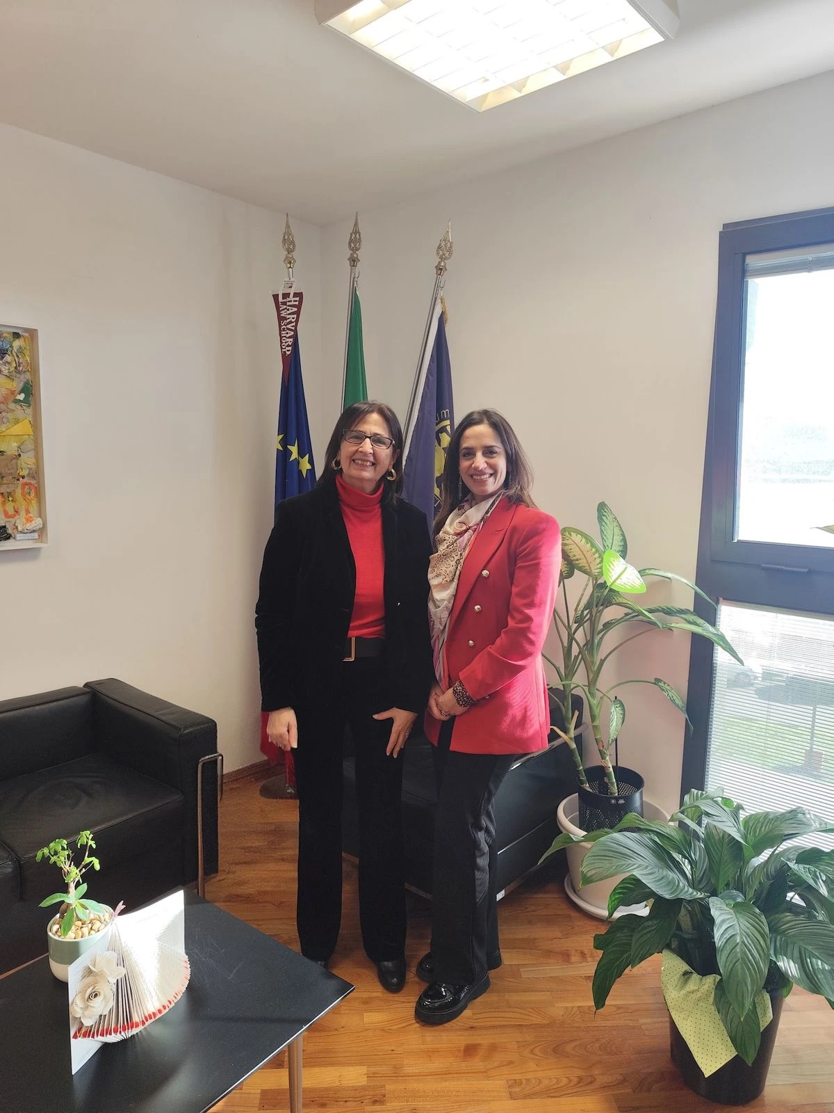 Università di Catanzaro e Aicel, al via i nuovi tirocini su e-commerce e trasformazione digitale