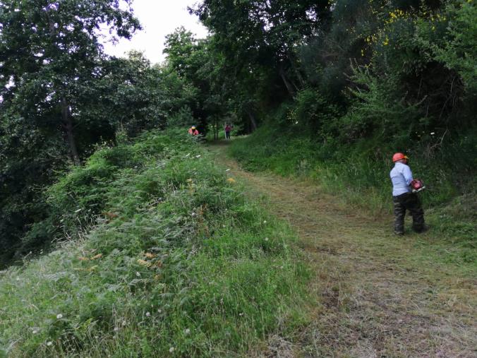images Taverna. Calabria Verde al sindaco Tarantino: "Le aree da riqualificare sono di competenza comunale"