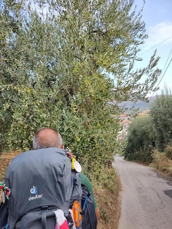 Dalla provincia cosentina a Roma per incontrare il Papa: il viaggio e lo storytelling di don Santino Borrelli images Dalla provincia cosentina a Roma per incontrare il Papa: il viaggio e lo storytelling di don Santino Borrelli