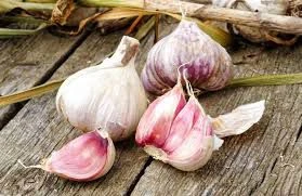 L'aglio rosa di Nicastro è un nuovo presidio Slow Food