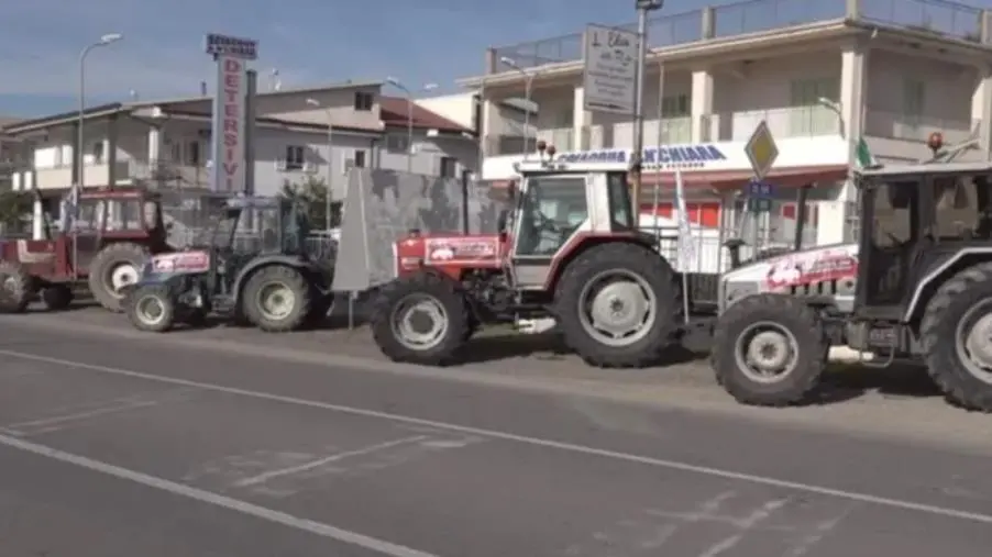 Crotone, agricoltori e allevatori in corteo: il 4 febbraio incontro con Comune e Provincia images Crotone, agricoltori e allevatori in corteo: il 4 febbraio incontro con Comune e Provincia