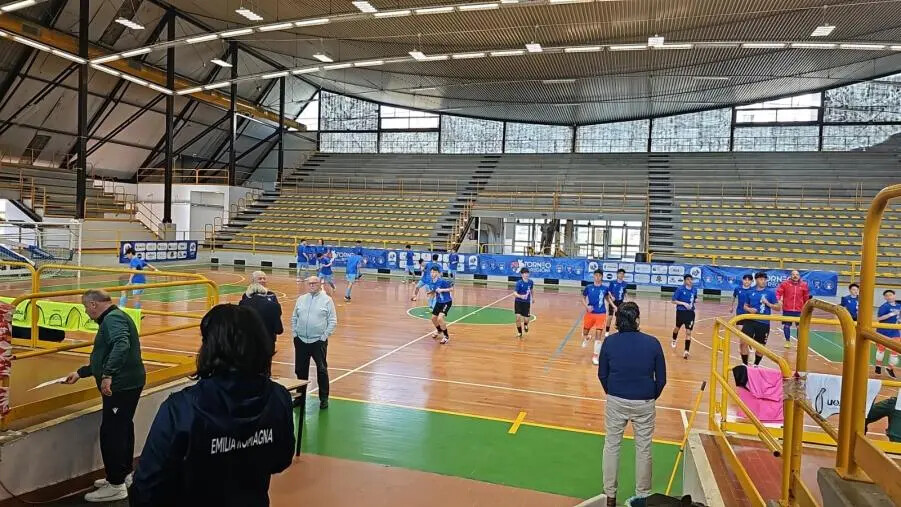 Catanzaro, al Pala "Gallo" e in tutta la Calabria al via il Torneo delle Regioni di Futsal images Catanzaro, al Pala "Gallo" e in tutta la Calabria al via il Torneo delle Regioni di Futsal