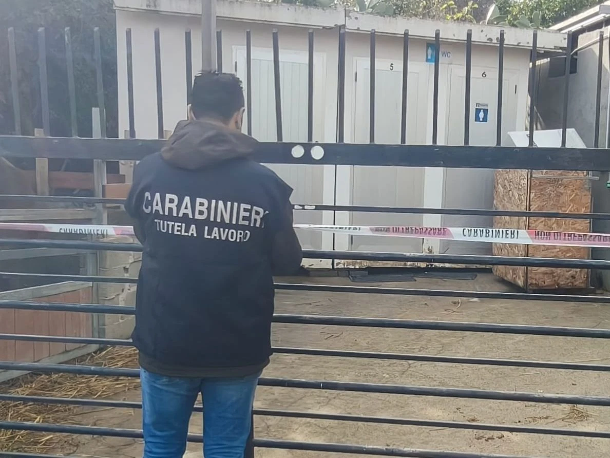 Lavoratore sfruttato per 2 euro all'ora: ai domiciliari il titolare di un maneggio del Crotonese