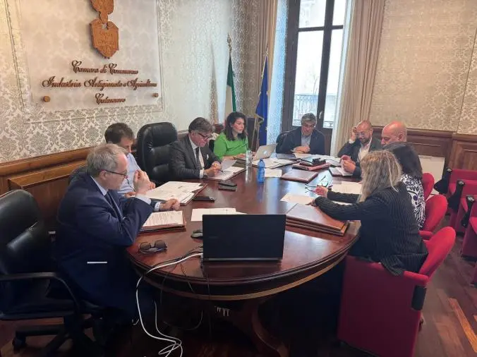 Catanzaro, la Camera di commercio approva il bilancio images Catanzaro, la Camera di commercio approva il bilancio