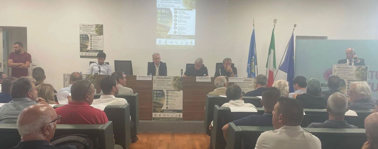 La crisi del comparto olivicolo 'sbarca' in Cittadella, Gallo: "Sulla stato di crisi richiesto ci faremo portavoce con il Ministero" images La crisi del comparto olivicolo 'sbarca' in Cittadella, Gallo: "Sulla stato di crisi richiesto ci faremo portavoce con il Ministero"