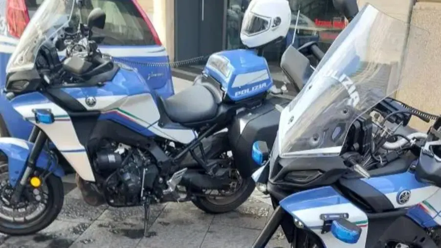 Reggio, arrestato cittadino extracomunitario e irregolare per furto in un'attività in centro  images Reggio, arrestato cittadino extracomunitario e irregolare per furto in un'attività in centro