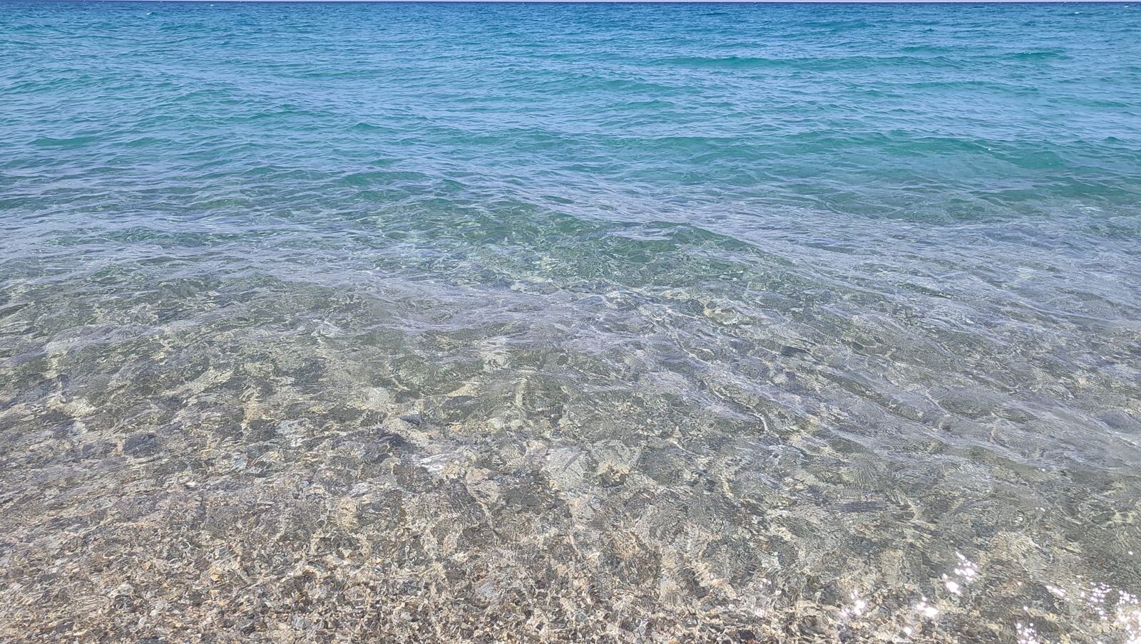 images Lo spettacolo dei delfini incanta Satriano: festa nello Jonio nel giorno del 2 giugno