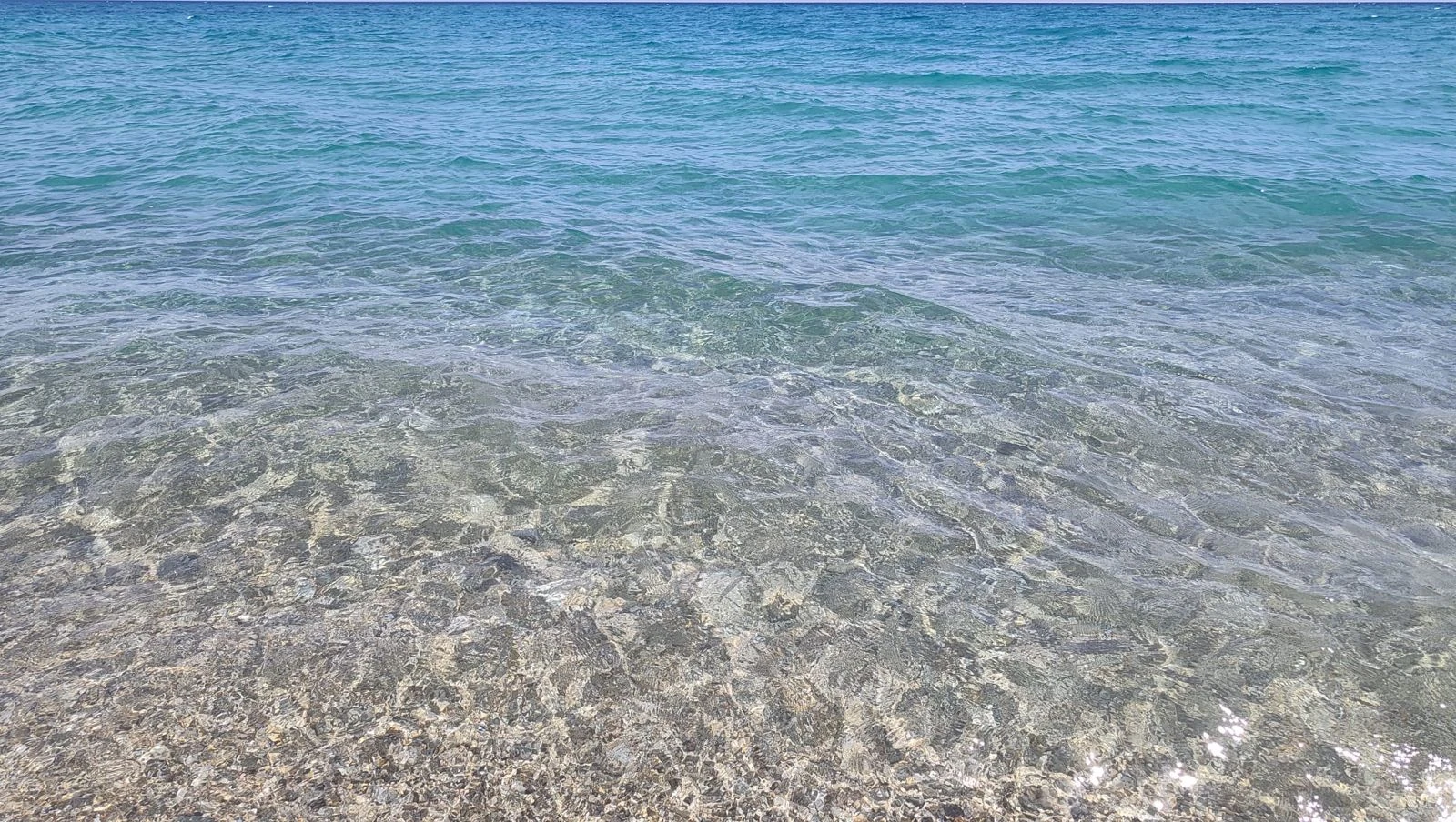 Lo spettacolo dei delfini incanta Satriano: festa nello Jonio nel giorno del 2 giugno