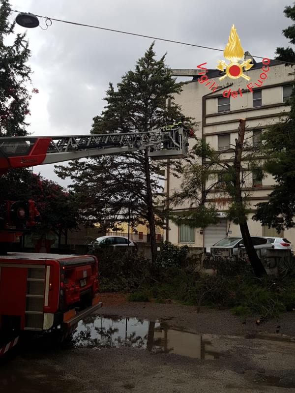 images Vibo Valentia: ergastolano tenta di uccidere il compagno di cella, chiuse le indagini