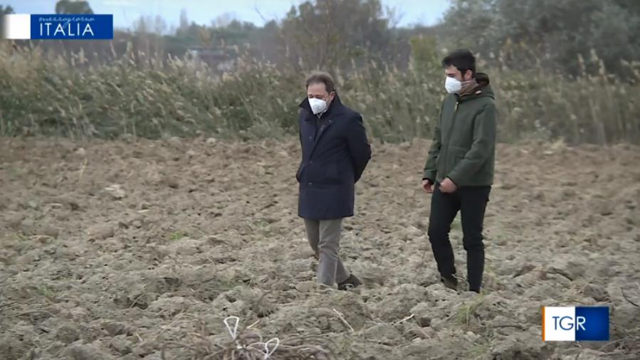 images Agroalimentare, la liquirizia calabrese protagonista dei media nazionali 