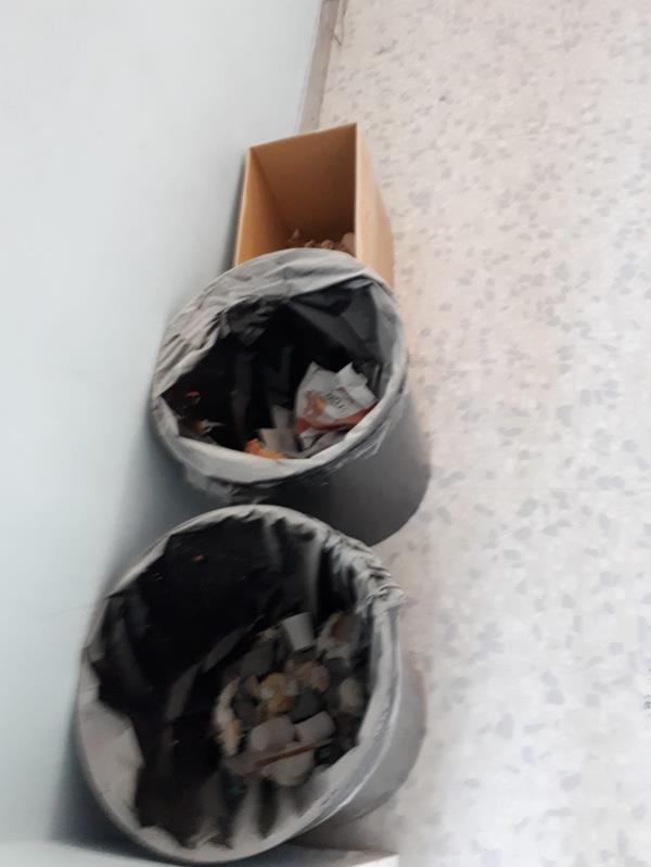 images Show del catanzarese Caserta ai Tricolori di nuoto a Roma