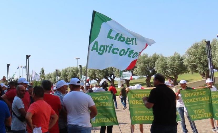 images Da una costola di Anpa, nasce l'Associazione “Liberi Imprenditori Boschivi-forestali”
