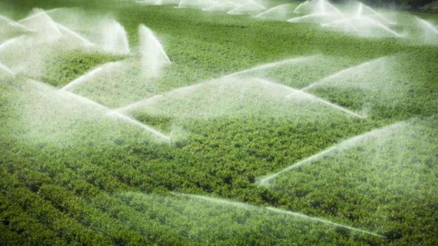 images Clima. Il Consorzio Ionio Catanzarese apre in anticipo gli impianti di irrigazione