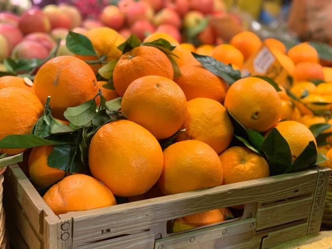 'Ndrangheta, rubati quintali di agrumi ad un'azienda nella Piana di Gioia Tauro 