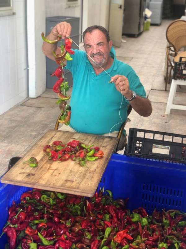 images Sellia, in fiamme un capanno e l'attrezzatura agricola 