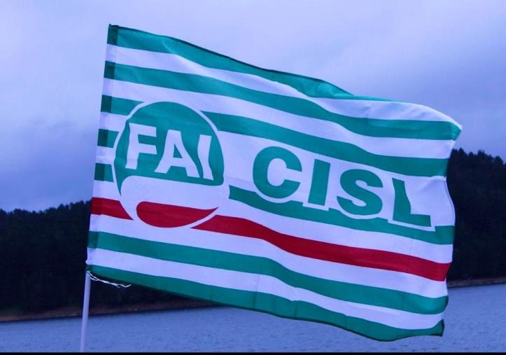 images Cisl Cosenza, profondo cordoglio per l’improvvisa scomparsa di Dario Filice