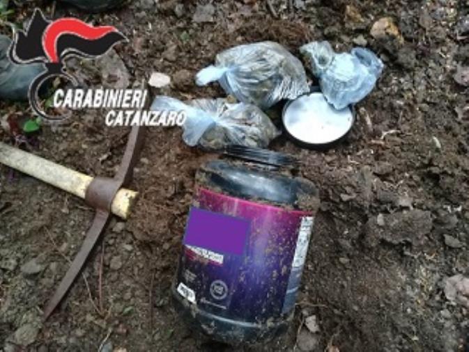 Nascondeva la droga in un barattolo: 49enne di Decollatura "incastrato" dal fiuto di Manco images Nascondeva la droga in un barattolo: 49enne di Decollatura "incastrato" dal fiuto di Manco