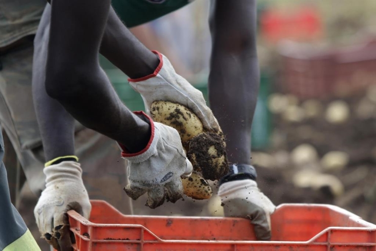 images Coronavirus. L'Inps precisa le modalità di sospensione del versamento dei contributi a carico dei lavoratori 