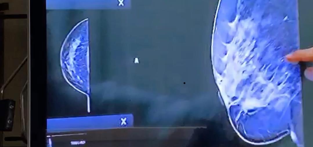 Patto d'amicizia tra Cosenza e Salonicco,
è conto alla rovescia
images Patto d'amicizia tra Cosenza e Salonicco,
è conto alla rovescia