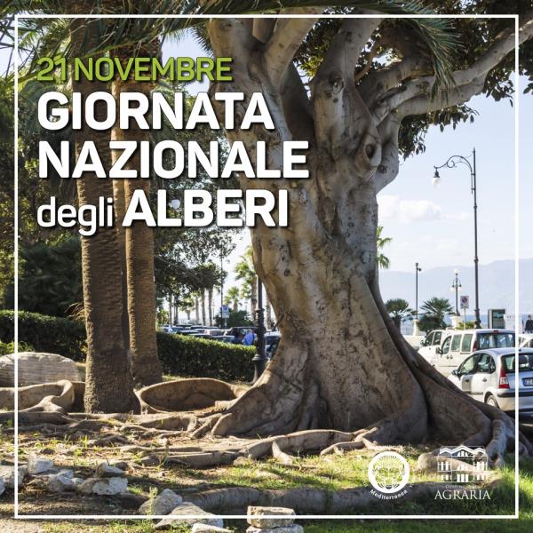 images Giornata Nazionale degli Alberi: l'Università di Reggio presenta il percorso formativo