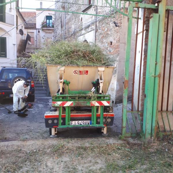 "Reggio Live Fest 2019", l'arena premia Max Weinberg e Alessandro Quarta images "Reggio Live Fest 2019", l'arena premia Max Weinberg e Alessandro Quarta