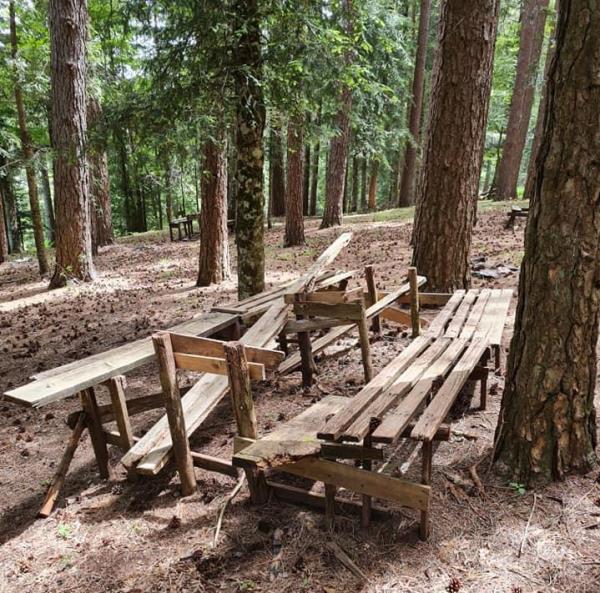 images Mendicino. Meringolo (IdM): “Monte Cocuzzo merita attenzione e rispetto”