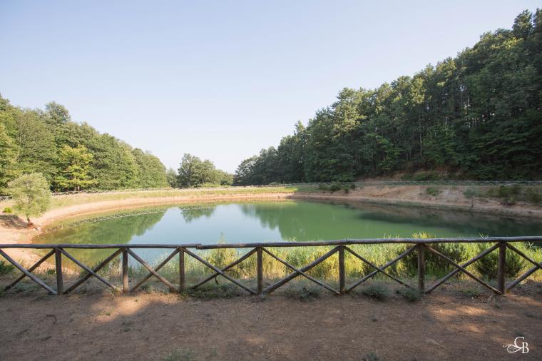 images Gal Serre Calabresi, finanziato progetto per rilanciare turismo montano: è l’unico in Calabria