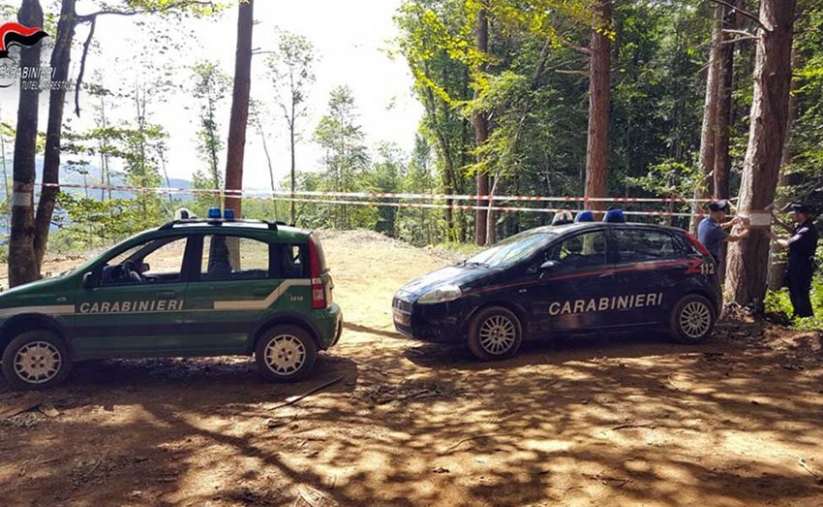 Eseguiva lavori agricoli in un'area golenale nel torrente Lipuda a Cirò, denunciato un 53enne images Eseguiva lavori agricoli in un'area golenale nel torrente Lipuda a Cirò, denunciato un 53enne