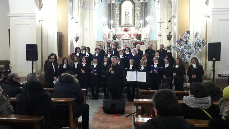 images Un successo la camminata fra gli ulivi a Terranova