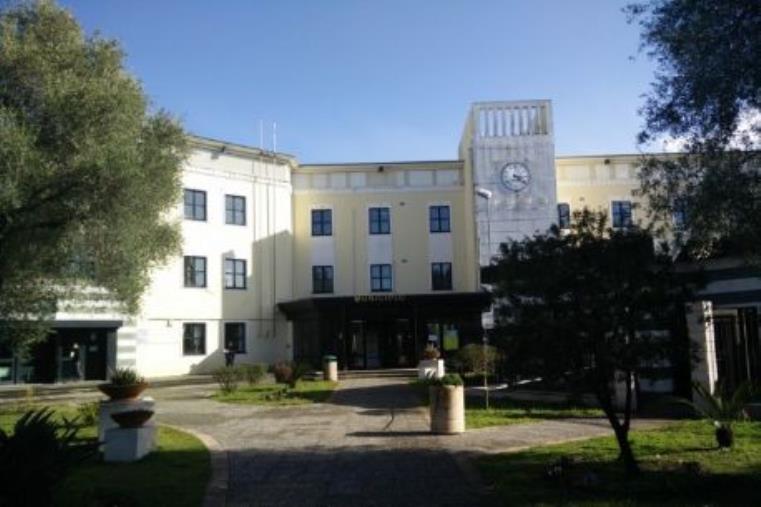 L'Assemblea dei sindaci "Città degli ulivi Comuni della Piana" cambia statuto images L'Assemblea dei sindaci "Città degli ulivi Comuni della Piana" cambia statuto