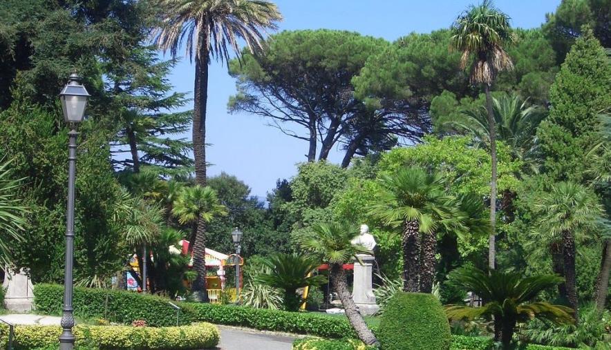 “Albero della Legalità”: domani l'iniziativa di Anteas in Villa Margherita a Catanzaro images “Albero della Legalità”: domani l'iniziativa di Anteas in Villa Margherita a Catanzaro