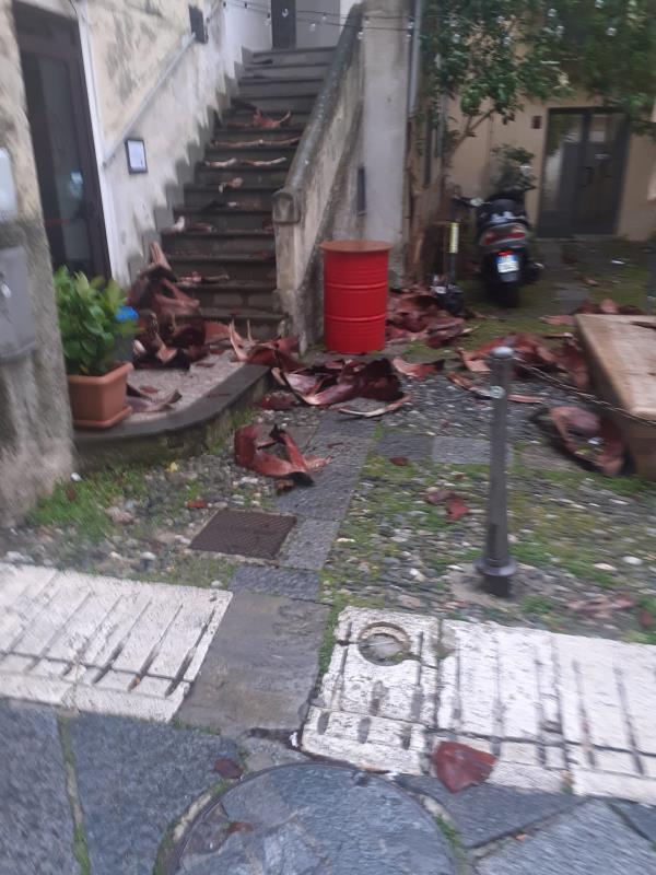 images Catanzaro, disagi e pericoli per il forte vento: ecco dove