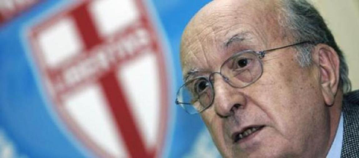 Trovata una carcassa di cicogna bianca su un traliccio images Trovata una carcassa di cicogna bianca su un traliccio