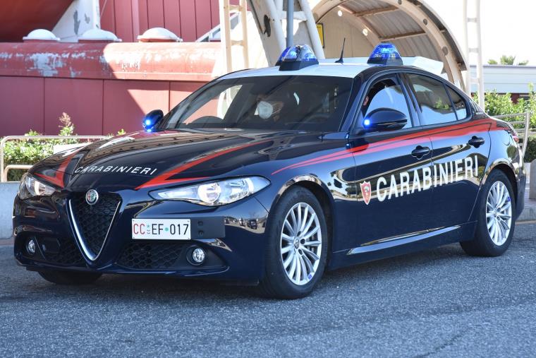 Sequestrate oltre 400 piante di marijuana tra Catanzaro e Tiriolo images Sequestrate oltre 400 piante di marijuana tra Catanzaro e Tiriolo