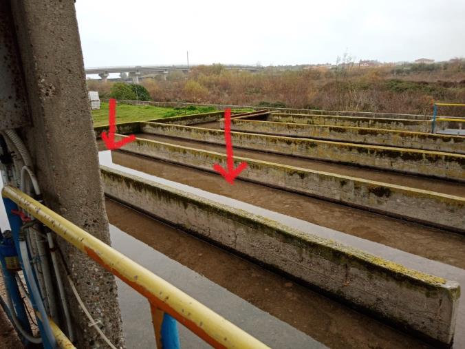 La denuncia del Pd di Catanzaro: "Il depuratore cittadino continua a non funzionare" images La denuncia del Pd di Catanzaro: "Il depuratore cittadino continua a non funzionare"