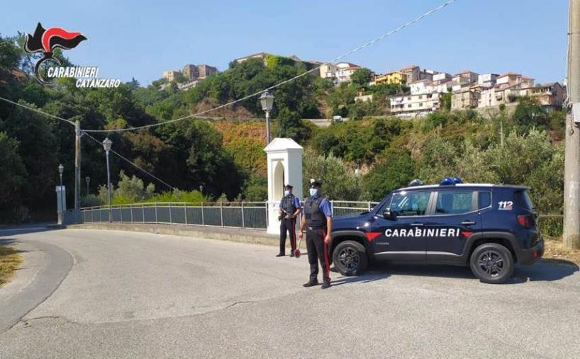 images Maida, pensionato beccato dai carabinieri mentre appicca un incendio