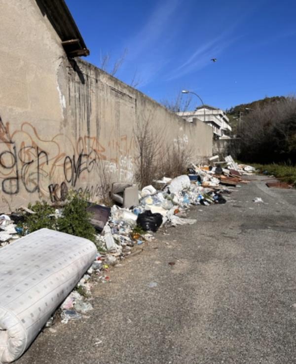 Catanzaro, rifiuti abbandonati. Veraldi: “Servono più fototrappole” images Catanzaro, rifiuti abbandonati. Veraldi: “Servono più fototrappole”