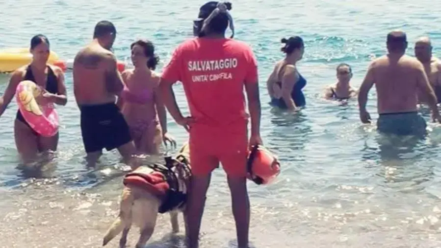 Catanzaro, bimbi in difficoltà sulla canoa salvati dall'unità cinofila Anpas croce verde images Catanzaro, bimbi in difficoltà sulla canoa salvati dall'unità cinofila Anpas croce verde