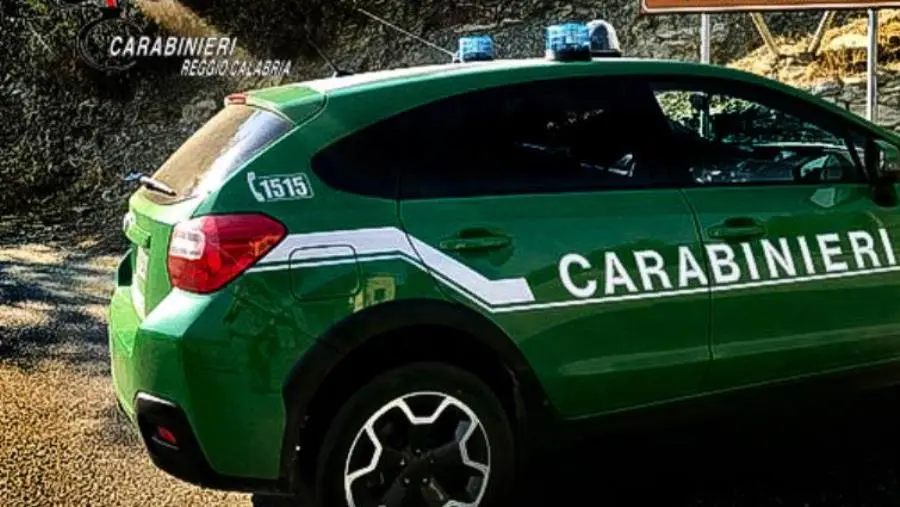 Sequestrati nel Crotonese richiami acustici per uccelli 