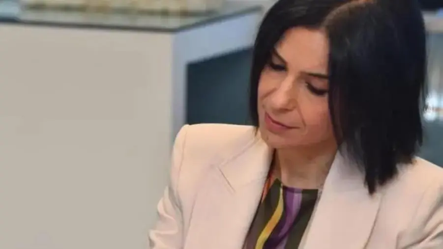 images Morte Denise, Princi: "Giorno buio per la Calabria e per il mondo scolastico"