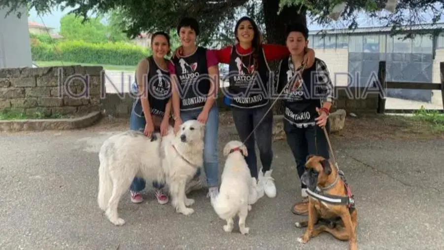images “Capervit”, un cane per la vita: presentato il progetto della futura oasi canina di Sersale
