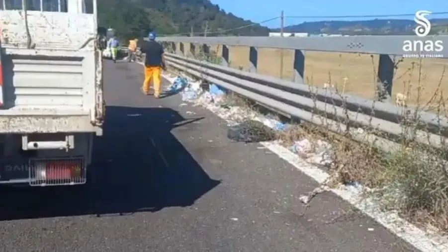 images Marcellinara, Anas e Comune insieme per raccogliere i&nbsp;rifiuti&nbsp;abbandonati lungo la Statale 280 