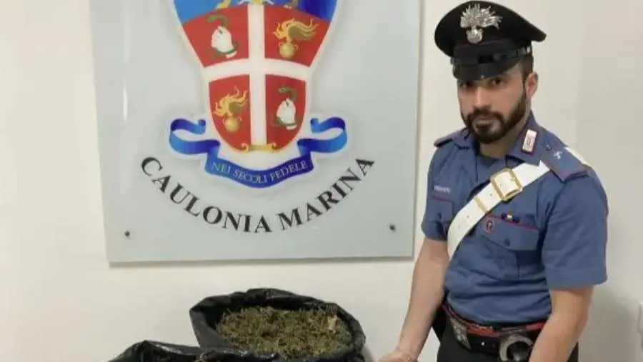 Caulonia, sorpresi con 23 chili di marijuana: arrestati quattro uomini images Caulonia, sorpresi con 23 chili di marijuana: arrestati quattro uomini