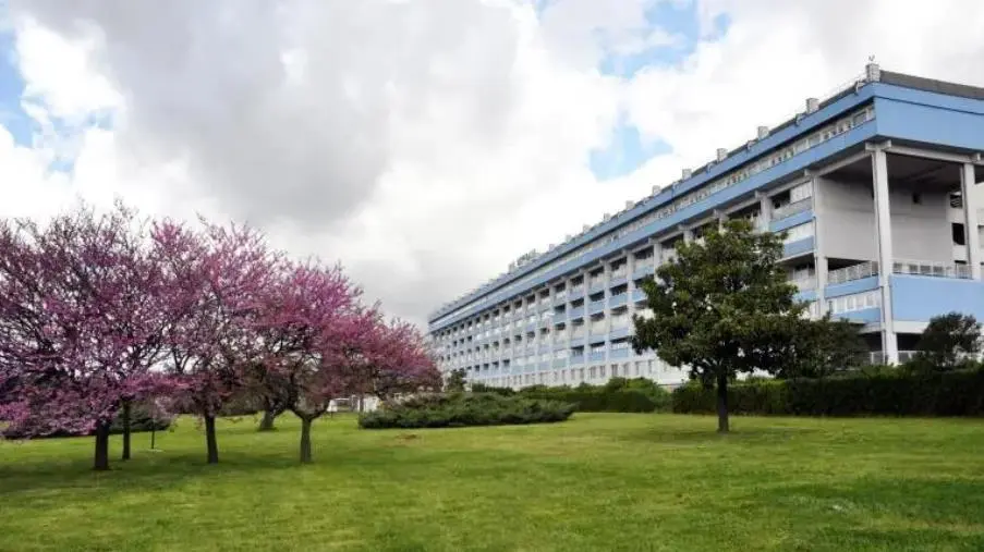Il calvario di Francesco e della sua mamma malata oncologica: "Qui la sanità non funziona" images Il calvario di Francesco e della sua mamma malata oncologica: "Qui la sanità non funziona"