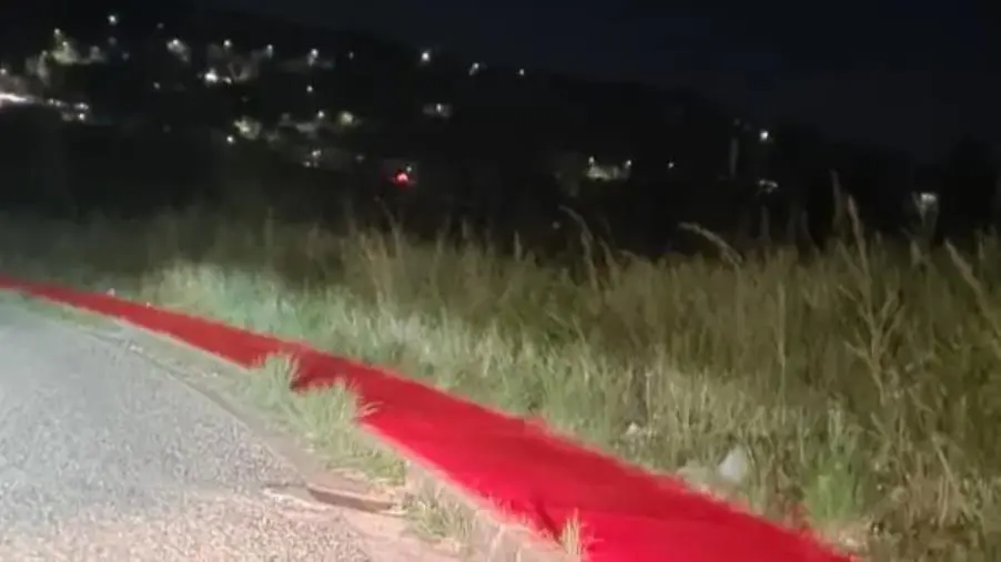 images Riccio, Concolino, Costa e Laudadio: "Le 30 bufale di Fiorita, partendo dalle piste ciclabili"