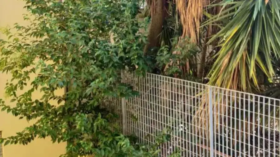 images Polistena, il Comune ordina lo sfalcio del verde sporgente ma non provvede a quello pubblico