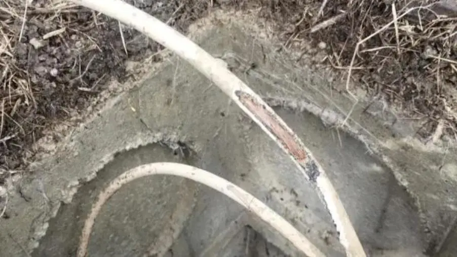 Topi danneggiano i cavi dell'illuminazione di una rotatoria a Satriano images Topi danneggiano i cavi dell'illuminazione di una rotatoria a Satriano